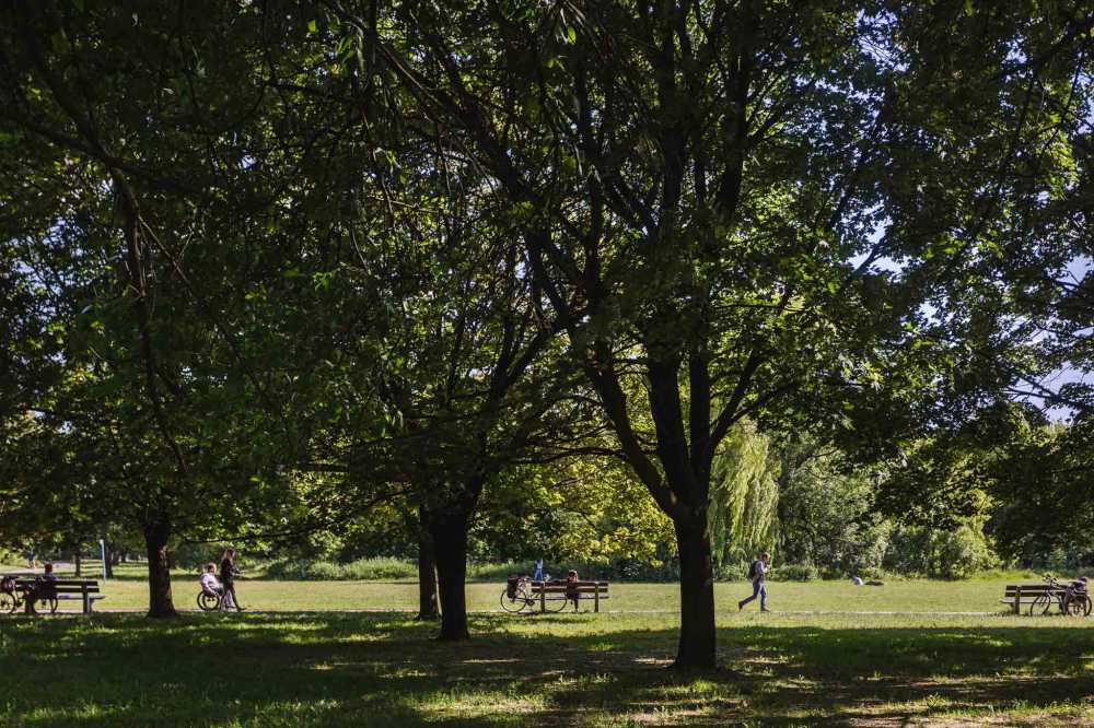 Inwestycje na sprzedaż Mokotów zdjęcie