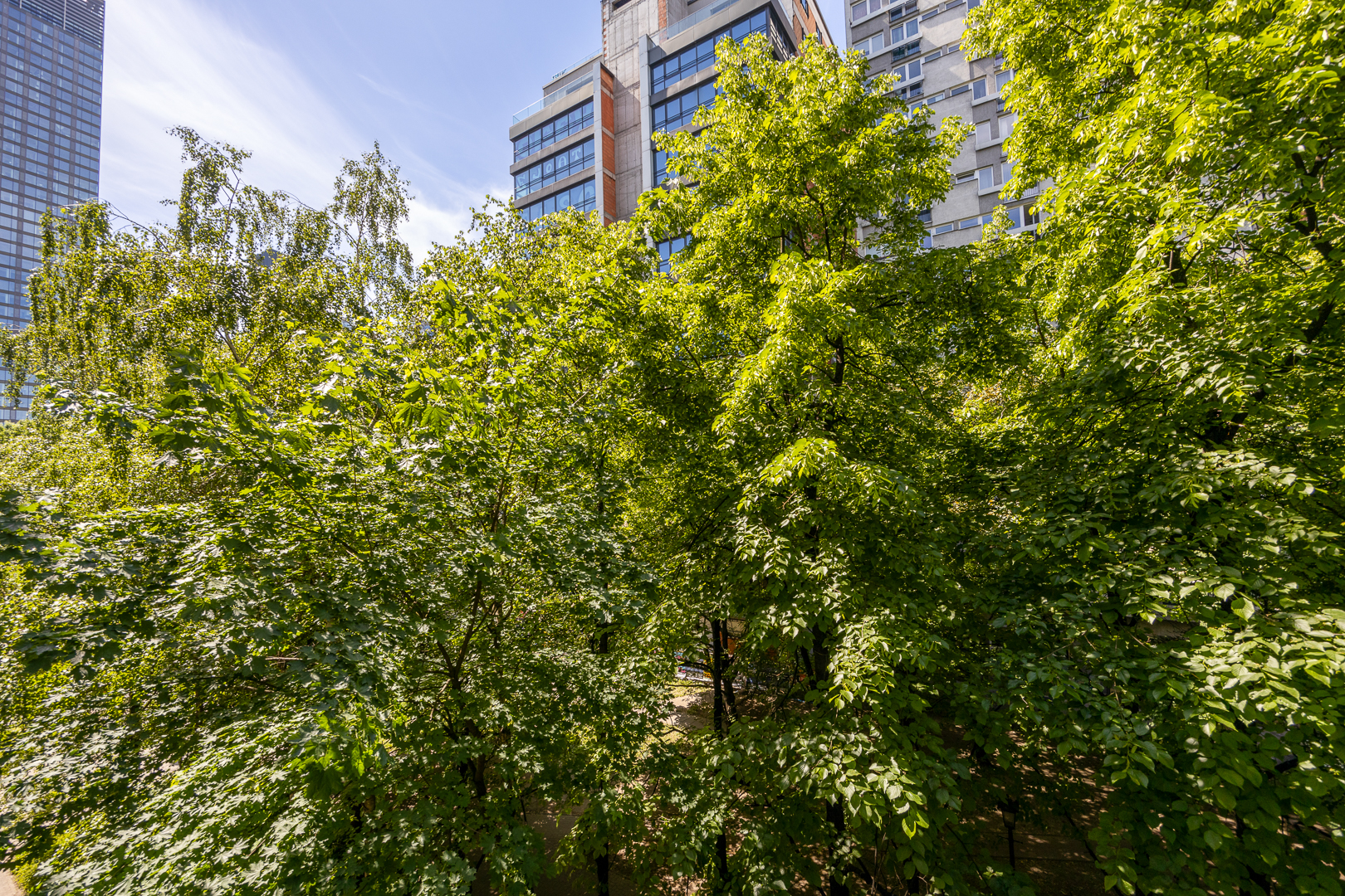 Apartament na wynajem, Warszawa Śródmieście, ul. Grzybowska 98414228