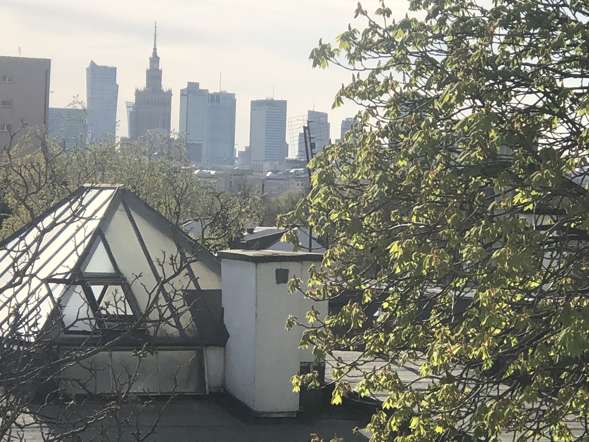 Apartament na wynajem, Warszawa Praga-Południe, ul. Paryska 74749021